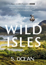 Wild Isles: Ocean